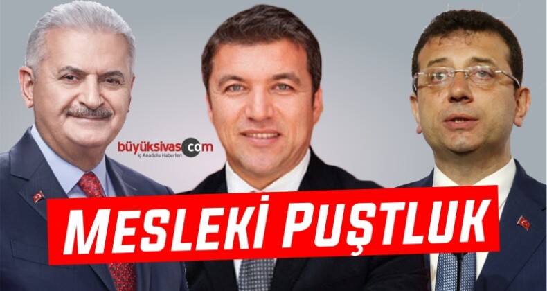 Mesleki Puştluk