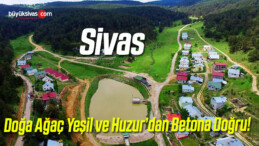 Sivas’ta Şöyle Gidip Huzur Bulacağımız Bir Yer Bırakmayacak mısınız?