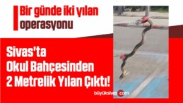 Sivas’ta Okul Bahçesinden 2 Metrelik Yılan Çıktı!