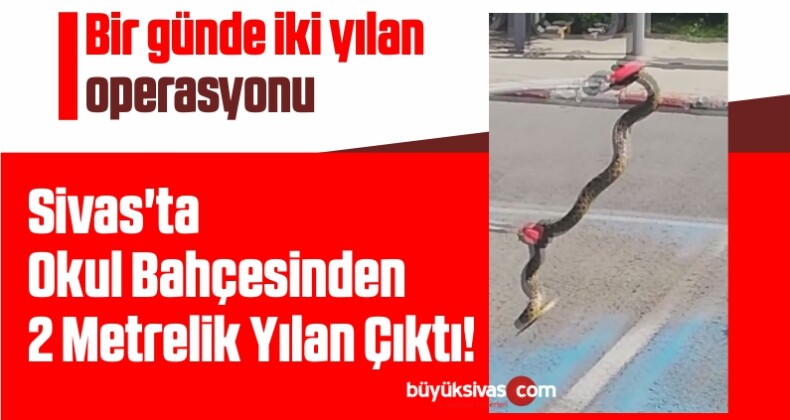 Sivas’ta Okul Bahçesinden 2 Metrelik Yılan Çıktı!