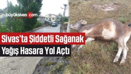 Sivas’ta Şiddetli Sağanak Yağış Hasara Yol Açtı