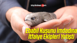 Ebabil Kuşunu İmdadına İtfaiye Ekipleri Yetişti