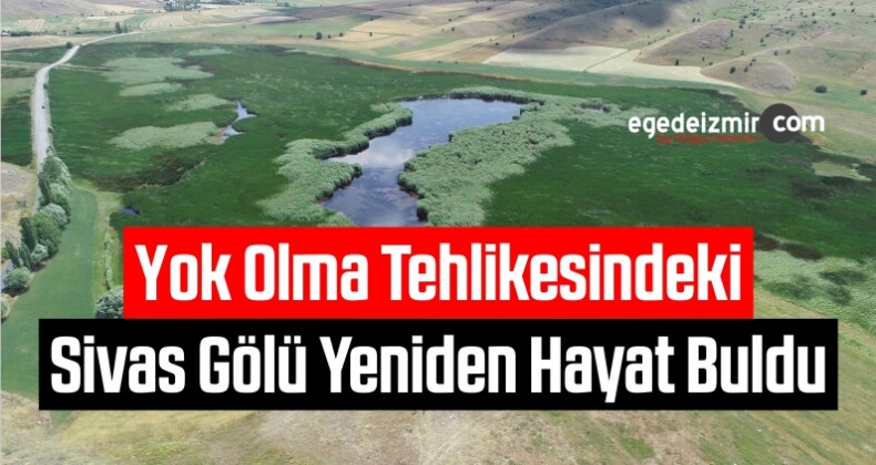 Yok Olma Tehlikesindeki Kaz Gölü Yeniden Hayat Buldu