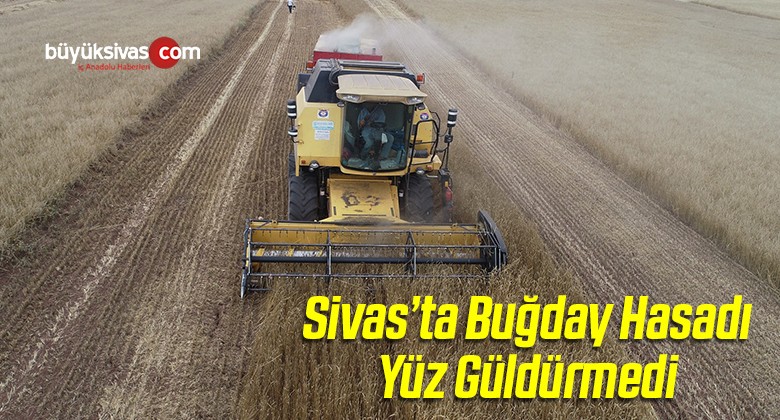 Sivas’ta Buğday Hasadı Yüz Güldürmedi