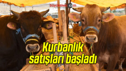 Sivas’ta Kurbanlık Satışları Başladı