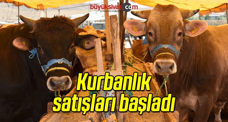 Sivas’ta Kurbanlık Satışları Başladı