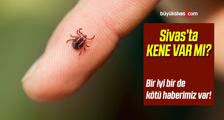 Sivas’ta Kene Var mı? Sivas Valisi Salih Ayhan Açıklama Yaptı!