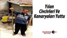 Yılan Civcivleri Ve Kanaryaları Yuttu