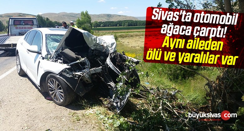 Sivas’ta Otomobil Ağaca Çarptı!