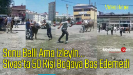 Sivas’ta 50 Kişi Boğaya Baş Edemedi! Kaçan! Üzerine Zıplayan! Yere Düşen!