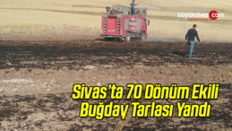 70 Dönüm Ekili Buğday Tarlası Yandı