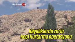 Kayalıklarda Zorlu Keçi Kurtarma Operasyonu