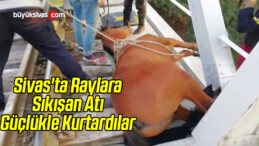 Sivas’ta Raylara Sıkışan Atı Güçlükle Kurtardılar