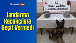 Jandarma Kaçakçılara Geçit Vermedi