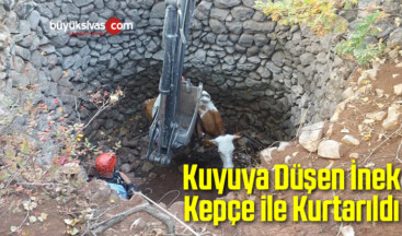 Kuyuya Düşen İnek Kepçe ile Kurtarıldı