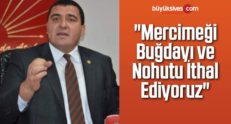 “Mercimeği Buğdayı ve Nohutu İthal Ediyoruz”