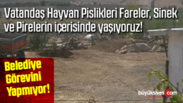 Belediye Görevini Yapmıyor! Hayvan Pisliklerinin içerisinde Yaşıyoruz!