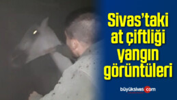 Sivas’ta Yanan At Çiftliğindeki Atların Kurtarılma Görüntüleri!