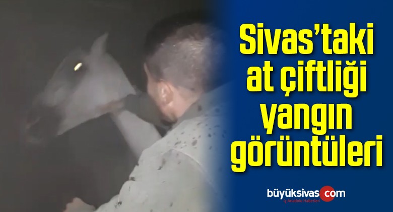 Sivas’ta Yanan At Çiftliğindeki Atların Kurtarılma Görüntüleri!