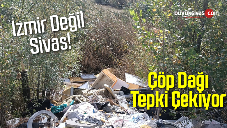 Çöp Dağının