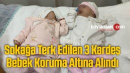 Sokağa Terk Edilen 3 Kardeş Bebek Koruma Altına Alındı