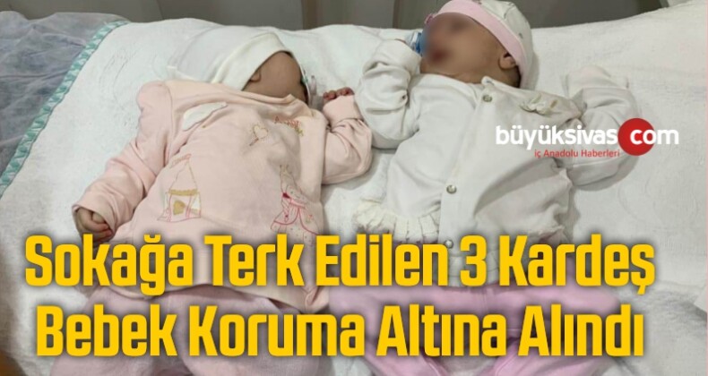 Sokağa Terk Edilen 3 Kardeş Bebek Koruma Altına Alındı