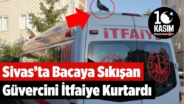 Sivas’ta Bacaya Sıkışan Güvercini İtfaiye Kurtardı