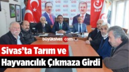 Tarım ve Hayvancılık Çıkmaza Girdi