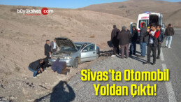 Otomobil Yoldan Çıktı! 2 Yaralı