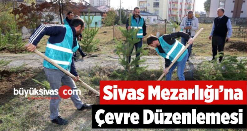 Mezarlıkta Çalışma Başlatıldı