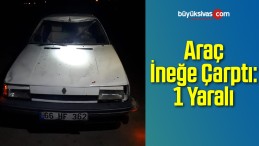 Araç İneğe Çarptı: 1 Yaralı