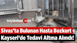 Sivas’ta Bulunan Hasta Bozkurt, ERÜ’de Tedavi Altına Alındı