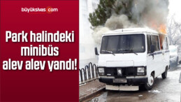 Park Halindeki Minibüs Alev Alev Yandı