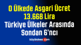 O Ülkede Asgari Brüt Ücret 2 bin 71 Euro! Türkiye Listede Sondan Altıncı