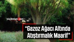 “Gazoz Ağacı Altında Atıştırmalık Maarif”