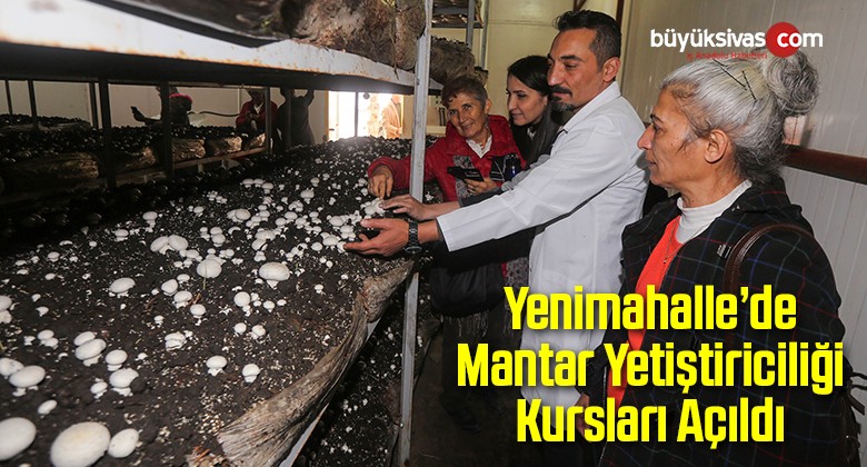 Yenimahalle’de Mantar Yetiştiriciliği Kursları Açıldı