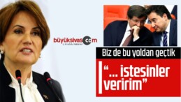 Meral Akşener’den Babacan ve Davutoğlu’na Destek