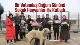 Doğum Gününü Sokak Hayvanları ile Kutladı