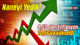 Ekim’de yüzde 8,55 olan Enflasyon Kasım’da 10,56’ya yükseldi