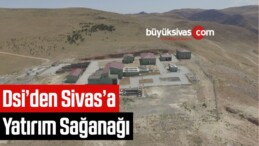 Dsi’den Sivas’a Yatırım Sağanağı