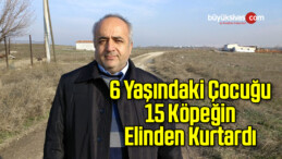 6 Yaşındaki Çocuğu 15 Köpeğin Elinden Kurtardı