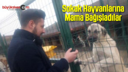 Sokak Hayvanlarına Mama Bağışladılar