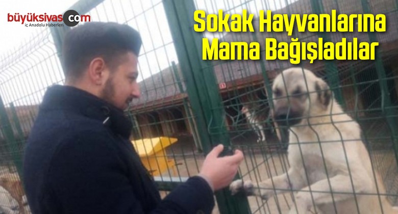 Sokak Hayvanlarına Mama Bağışladılar