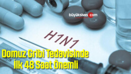 Domuz Gribi Tedavisinde İlk 48 Saat Önemli