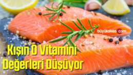 Yaygın Bir Sağlık Sorunu Olarak Kışın D Vitamini Değerleri Düşüyor