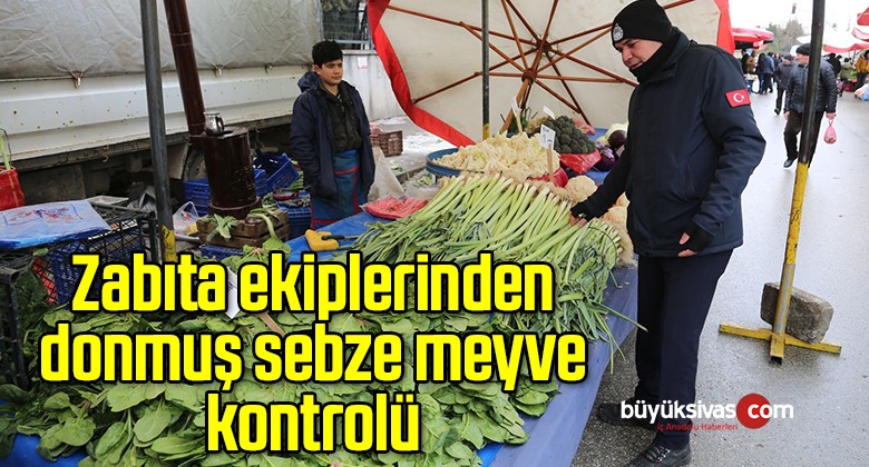 Zabıta ekiplerinden donmuş sebze meyve kontrolü