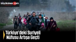 Türkiye’deki Suriyeli Nüfusu Artışa Geçti