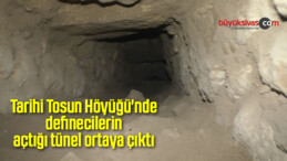 Tarihi Tosun Höyüğü’nde definecilerin açtığı tünel ortaya çıktı