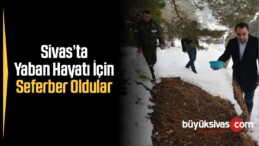 Yaban Hayatı İçin Seferber Oldular