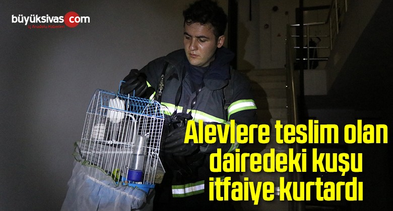 Alevlere teslim olan dairedeki kuşu itfaiye kurtardı